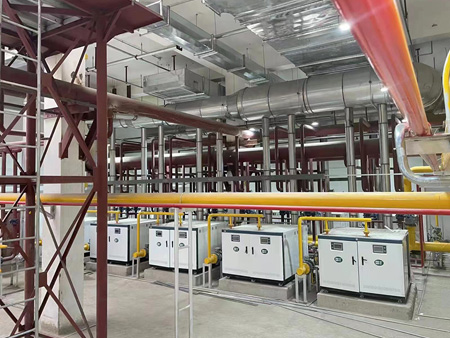 全預(yù)混冷凝低氮燃?xì)忮仩t工程案例